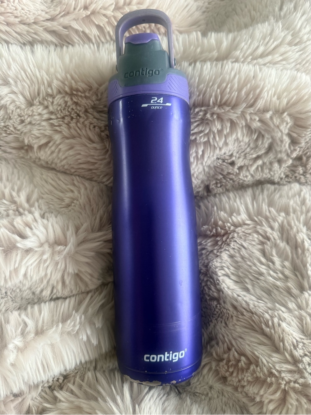 Contigo AUTOSEAL Chill 24 oz Very Berry Purple Stainless Steel Water Bottle